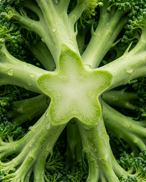 Broccoli