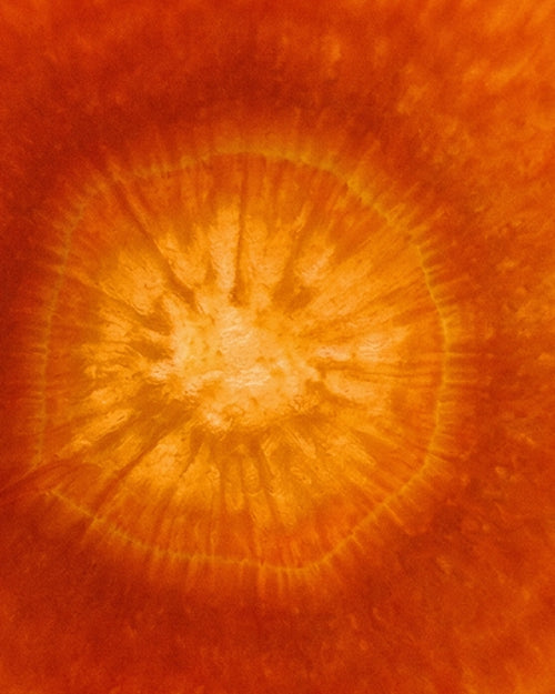 Betakaroten (provitamin A)