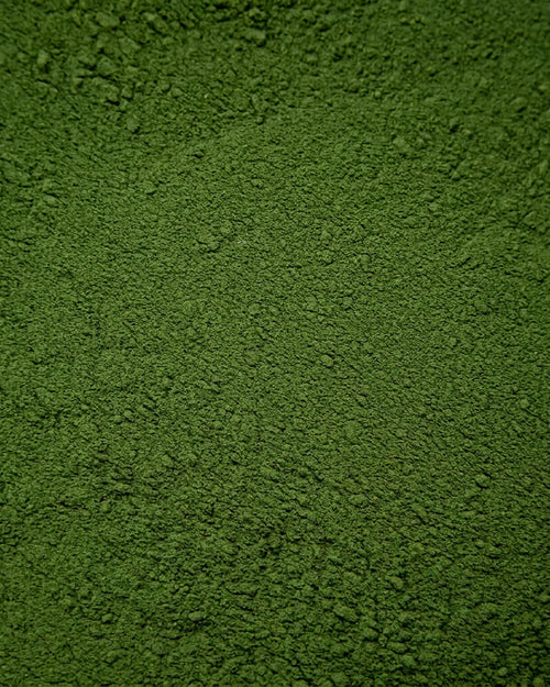 Ekologisk chlorella
