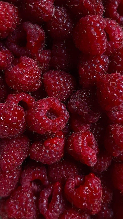 Vitamin B9 (folat)