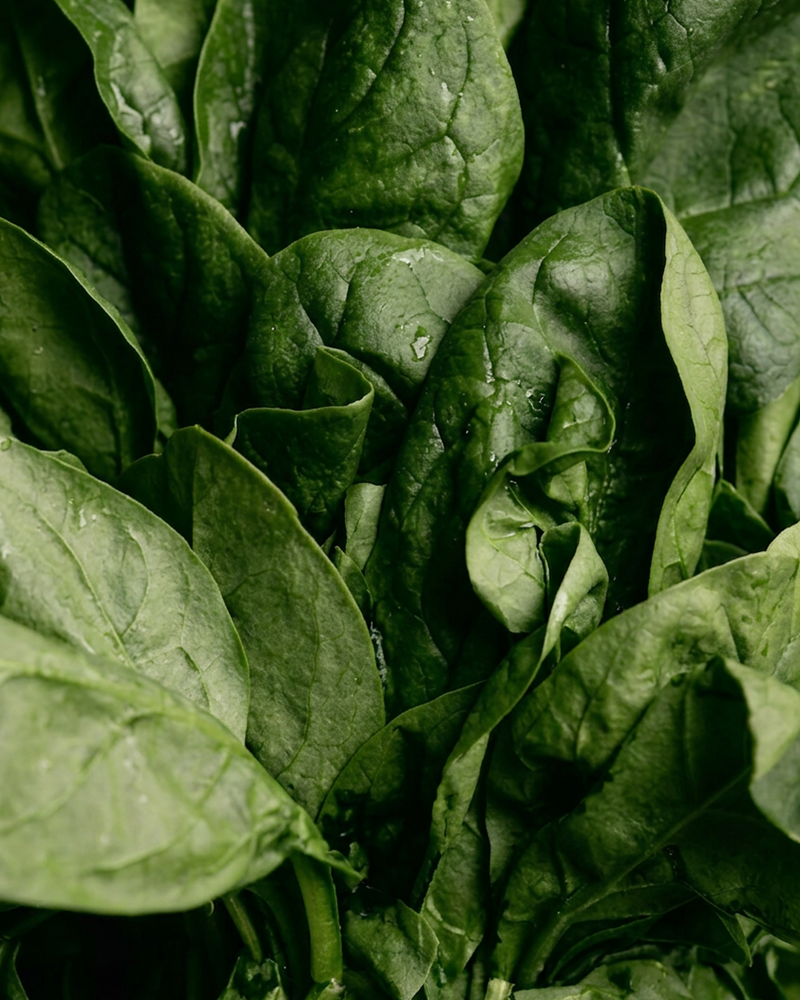 grönt & superfoods
